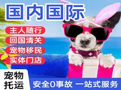 霍林河机场货运国际宠物托运 【国